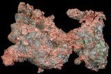 Natural, Native Copper Formation - Michigan #65936-1